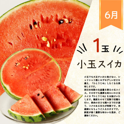 【発送月固定定期便】紀州和歌山産旬のフルーツセット(スイカ・桃・ひらたね柿・みかん)全4回【配送不可地域：離島・北海道・沖縄県】