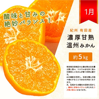 【発送月固定定期便】紀州和歌山産旬の柑橘セット(みかん・不知火・清見)全3回