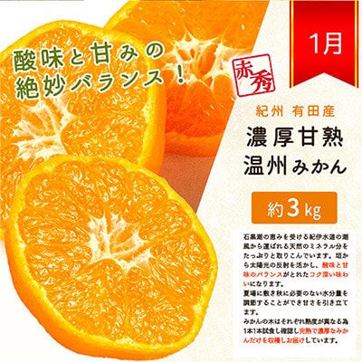 【発送月固定定期便】紀州和歌山産旬のフルーツセット(みかん・なつみ・バレンシア)全3回【配送不可地域：離島】