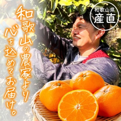 【発送月固定定期便】和歌山 旬のカンキツ定期便【S】全4回