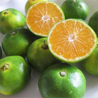 【産直】YN26極早生みかん約5kg(2S～Mサイズおまかせ)(上富田町)【配送不可地域：離島】