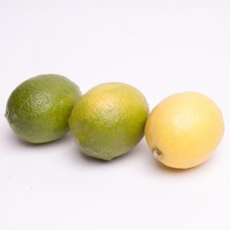 家庭用 レモン2.5kg+250g(傷み補償分)【和歌山有田産】【防腐剤・WAX不使用】【訳あり】