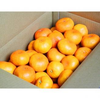 【上富田町】【2026年11月中旬より発送】紀州有田産濃厚完熟温州みかん　5kg