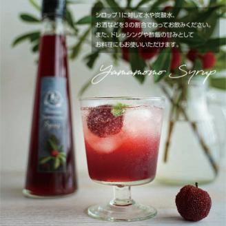 プレミア和歌山認定品(※)　熊野やまももしろっぷ　1本(235g)