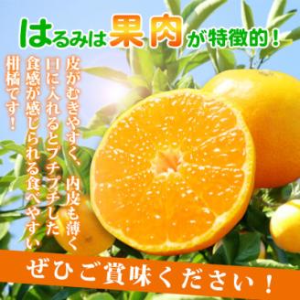 果肉ぷりぷり!完熟はるみ　5kg