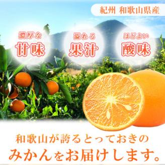 初夏のみかん　なつみ3kg【配送不可地域：離島】