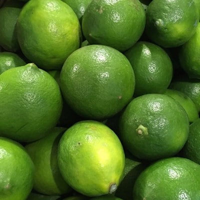 【産直】和歌山産グリーンレモン約3kg(サイズ混合)(上富田町)