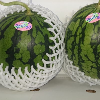 2026年度発送【産直】和歌山産小玉すいか「ひとりじめ7」2玉合計約3.5kg以上【上富田町】