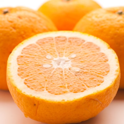 ＜4月より発送＞樹上完熟甘夏柑5kg+150g(傷み保証分)　【あまなつ】(上富田町)