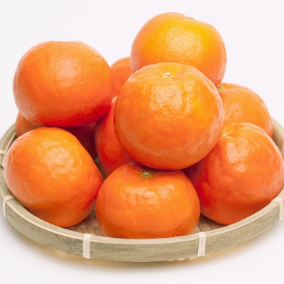 ＜4月より発送＞厳選手詰セミノールオレンジ2.5kg+75g(傷み保証分)(上富田町)