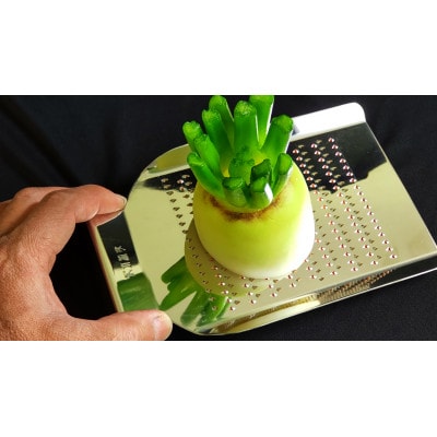 手打ちおろし金　小10段　