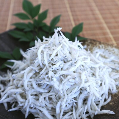 釜あげしらす 化粧箱入り900g【配送不可地域：離島・北海道・沖縄県】