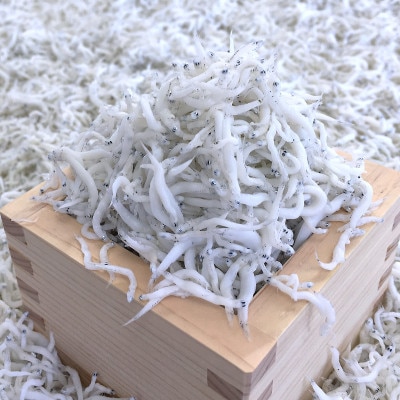 冷凍釜揚げしらす500g(100g×5袋)【配送不可地域：離島】