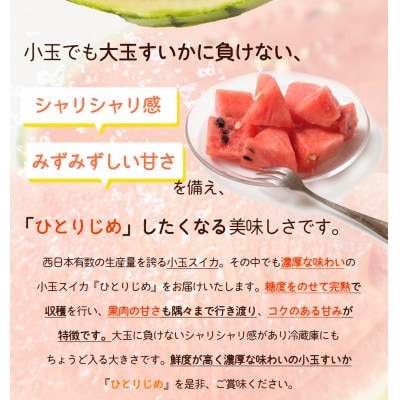 紀州和歌山産小玉スイカ「ひとりじめ」2玉