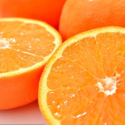 和歌山有田産セミノールオレンジ約5kg(サイズ混合) 【上富田町】