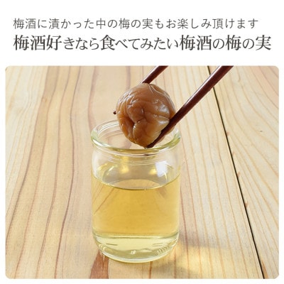 梅酒100　100ml×24本