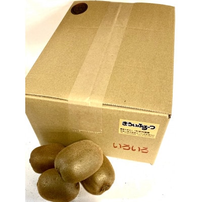 紀州かつらぎ山のキウイフルーツ約3kg