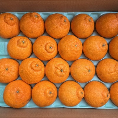 和歌山県産不知火約5kg(18玉～24玉おまかせ)(上富田町)