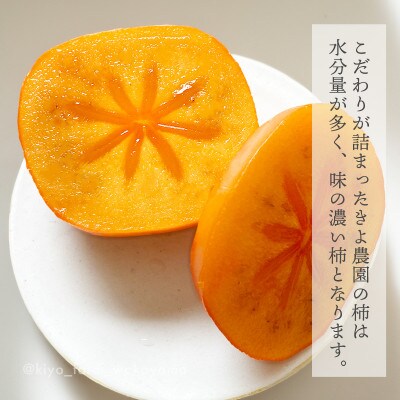 先行受付　柿(種無し)　赤秀品大玉　6個入　約1.8kg【配送不可地域：離島】