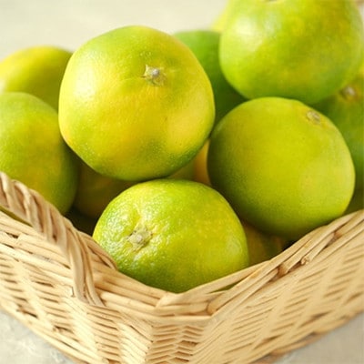 【極早生みかんの逸品】和歌山県産ゆら早生みかん約5kg(秀品)【上富田町】