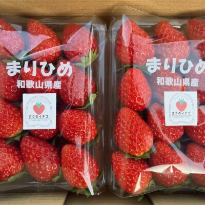 【2026年5月より順次発送】和歌山県産ブランドいちご「まりひめ」約300g×2パック入(上富田町)【配送不可地域：離島・北海道・沖縄県】