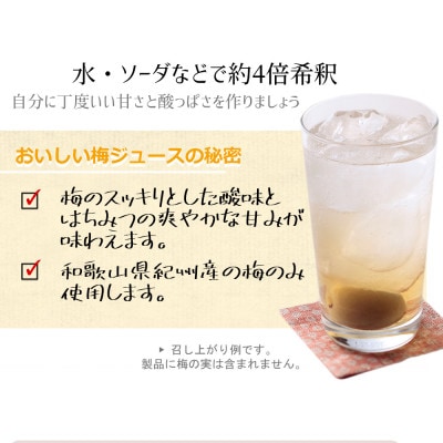 希釈用梅ドリンク　紀州産梅ハニップ 590g 3本セット