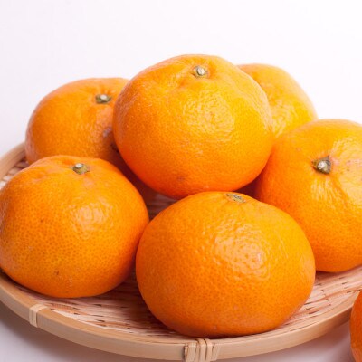 家庭用 大きな有田みかん2.5kg+250g(傷み補償分)【光センサー選果】【訳あり】【配送不可地域：離島・北海道・沖縄県】