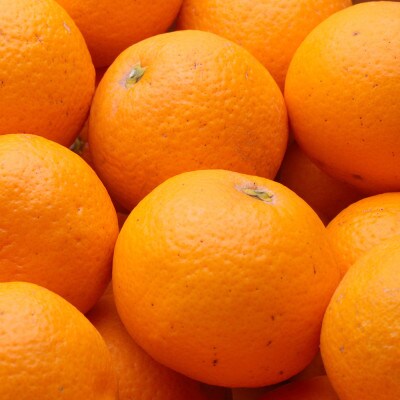 厳選 清見2.5kg+250g(傷み補償分)【光センサー選果】【樹上完熟きよみオレンジ】【配送不可地域：離島・北海道・沖縄県】