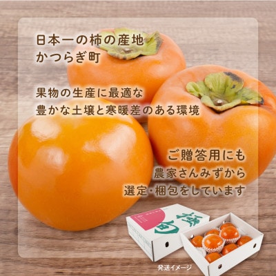 先行予約!富有柿　秀品6~8個入り　こだわり農家厳選【2026年10月末頃から順次発送】