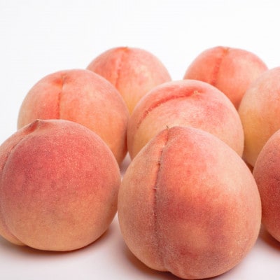 《7月発送》和歌山の厳選白桃 約1kg【白鳳・清水白桃・川中島・もも・はくとう】【化粧箱入り】【配送不可地域：離島・北海道・沖縄県・東北】