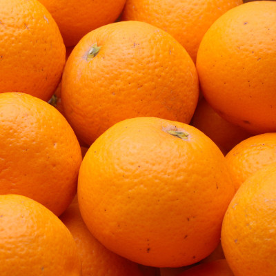 厳選 清見1kg+250g(傷み補償分)【光センサー選果】【樹上完熟きよみオレンジ】【配送不可地域：離島・北海道・沖縄県】