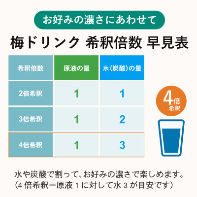 希釈用梅ドリンク 梅ハニップ 12本セット