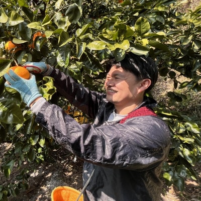 【先行受付 2025年11月下旬～発送】有田育ちのご家庭用訳あり完熟有田みかん　10kg