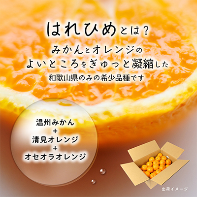 先行受付!　はれひめ(みかんの希少種)　秀品　25個～30個入　約5kg