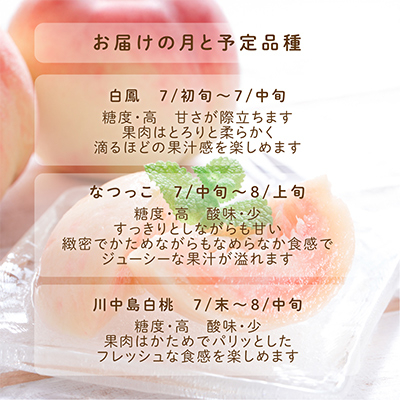 先行受付!　旬の桃　(特秀品)食べきりやすい3個入り【配送不可地域：離島】