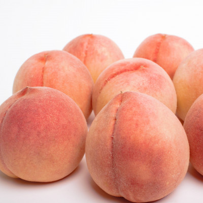 ＜7月発送＞和歌山の厳選白桃 約2kg【白鳳・清水白桃・川中島・もも】【化粧箱入り】【配送不可地域：離島・北海道・沖縄県・東北・関東・九州】