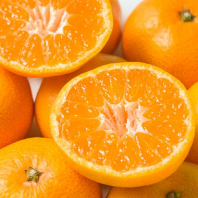 [秀品]和歌山有田みかん約6kg大玉(3Lサイズ)「2025年11月中旬より順次発送」【上富田町】