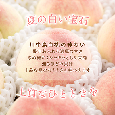 桃先行受付!　【川中島白桃】大玉特秀品　食べきりやすい3個入り　こだわり農家厳選!【配送不可地域：離島】