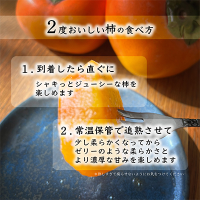 先行受付!　柿　種無し　赤秀品　超大玉　5～6個　こだわり農家厳選!【配送不可地域：離島】