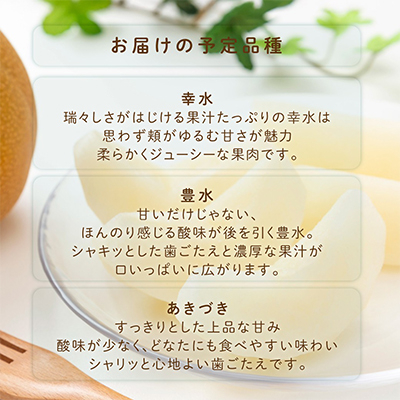 先行予約!　旬の梨　極上秀品(中玉～大玉)6～8個入り　2026年8月中旬頃から発送【配送不可地域：離島】