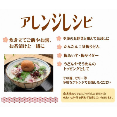 紀州南高梅はちみつ極塩分約6%(500g)