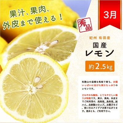 【発送月固定定期便】紀州和歌山産旬の柑橘セット(不知火・レモン・清見)全3回