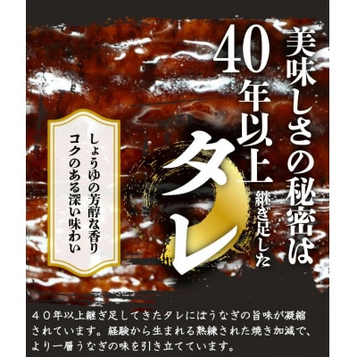 【毎月定期便】紀州和歌山うまいもんセットB(生まぐろ・うなぎ蒲焼・熊野牛)全3回【配送不可地域：離島・北海道・沖縄県】