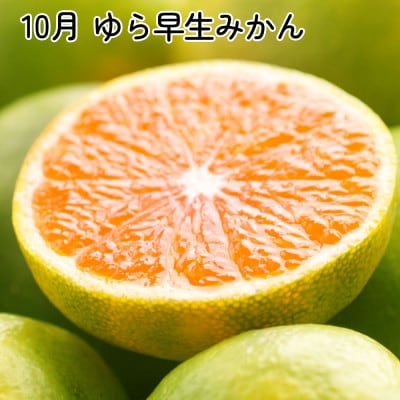 【発送月固定定期便】厳選 柑橘定期便SS(10～12月)全3回【配送不可地域：離島・北海道・沖縄県】