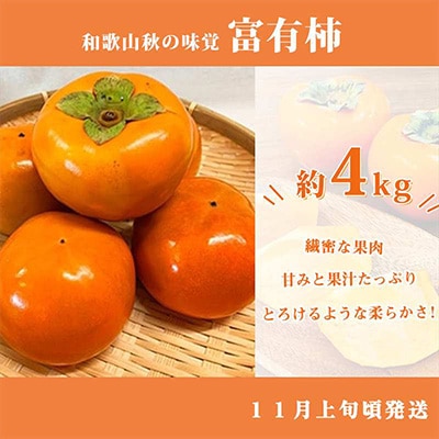 2022年10月発送開始『定期便』紀州和歌山産旬のフルーツセット(ひらたね・富有柿・みかん)全3回【配送不可地域：離島】