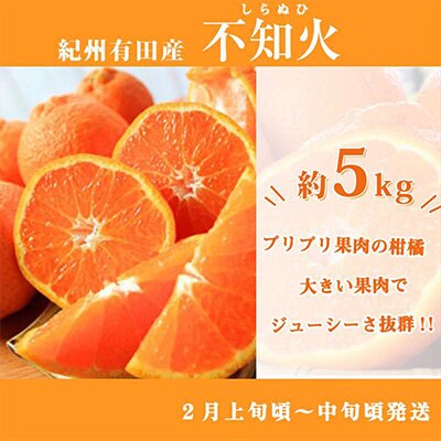 2023年1月発送開始『定期便』紀州和歌山産旬の柑橘セット(みかん・不知火・清見)全3回