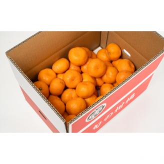 【2026年11月下旬より発送】【ご家庭用訳アリ】紀州有田産濃厚完熟温州みかん　5kg