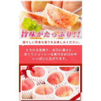 紀州和歌山産の桃　約4kg　化粧箱入【配送不可地域：離島】