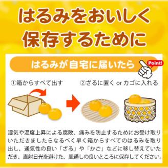 果肉ぷりぷり!完熟はるみ　5kg