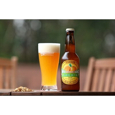 和歌山県白浜町のクラフトビール　ナギサビール3種飲み比べ12本セット　330ml×12本【配送不可地域：離島】